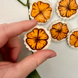 Poppy Magnet