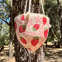 Strawberries Hanging Planter