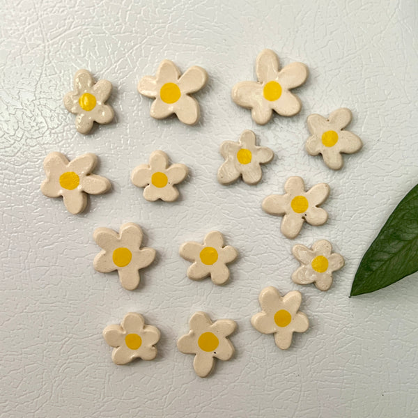 Daisy Magnet