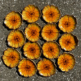 Poppy Plate