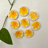 Daffodil Magnet