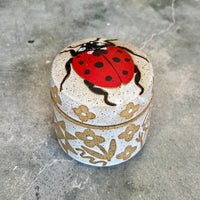 Ladybug Jar
