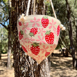 Strawberries Hanging Planter