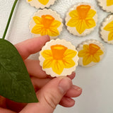 Daffodil Magnet
