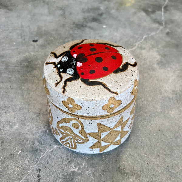 Ladybug Jar
