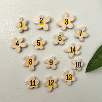 Daisy Magnet