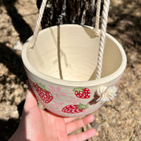 Strawberries Hanging Planter