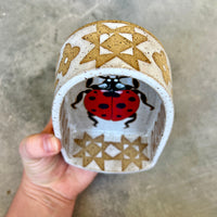 Ladybug Altar
