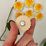 Daffodil Magnet