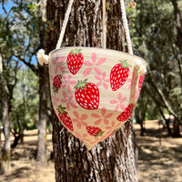 Strawberries Hanging Planter