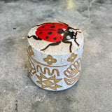 Ladybug Jar