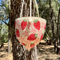 Strawberries Hanging Planter