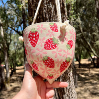 Strawberries Hanging Planter