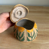 Pumpkin Jar #11